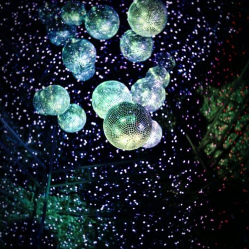 fidel-fernando-249DzAuJTqQ-unsplash (1)